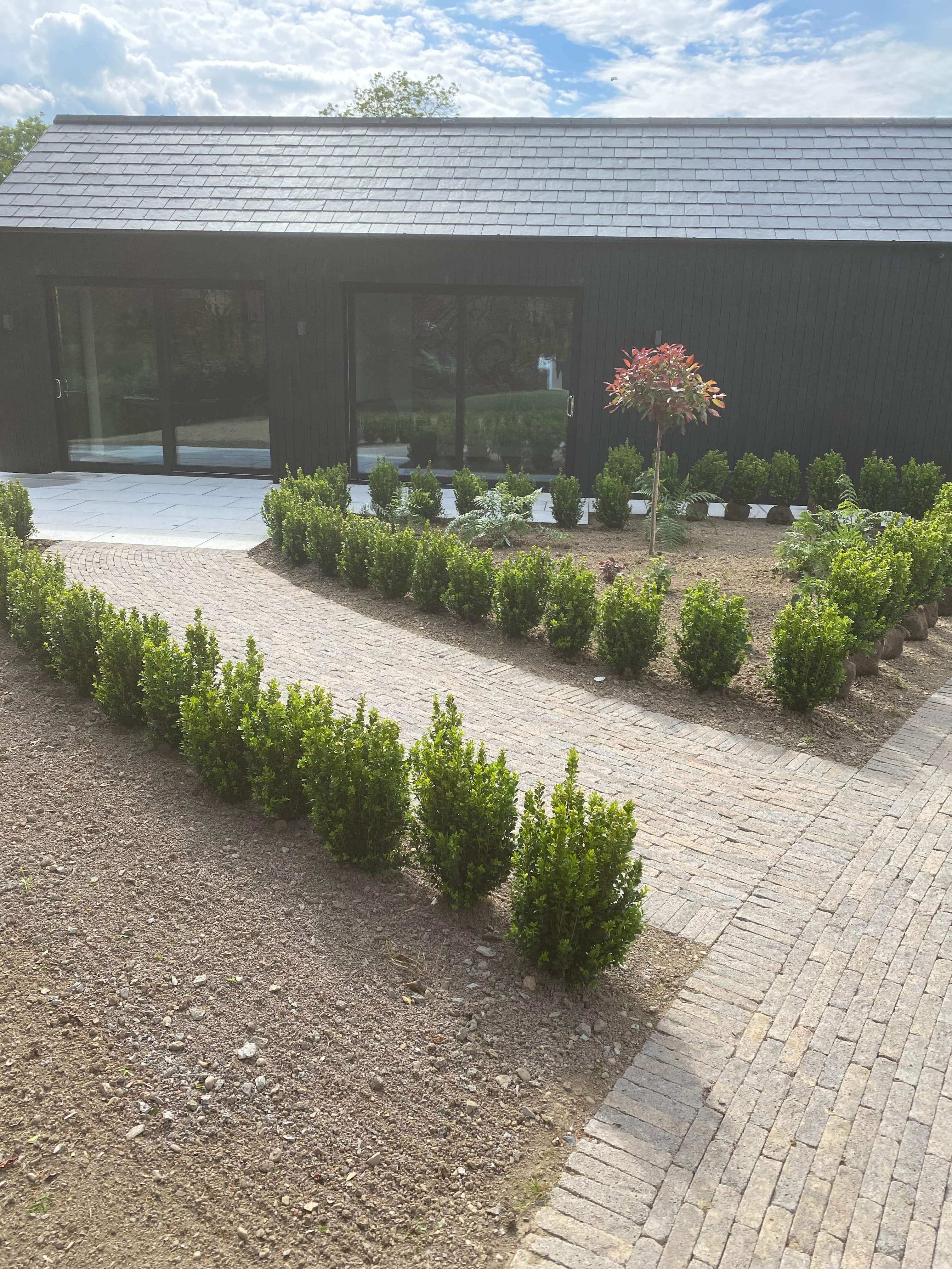 Landscaped garden with structured planting